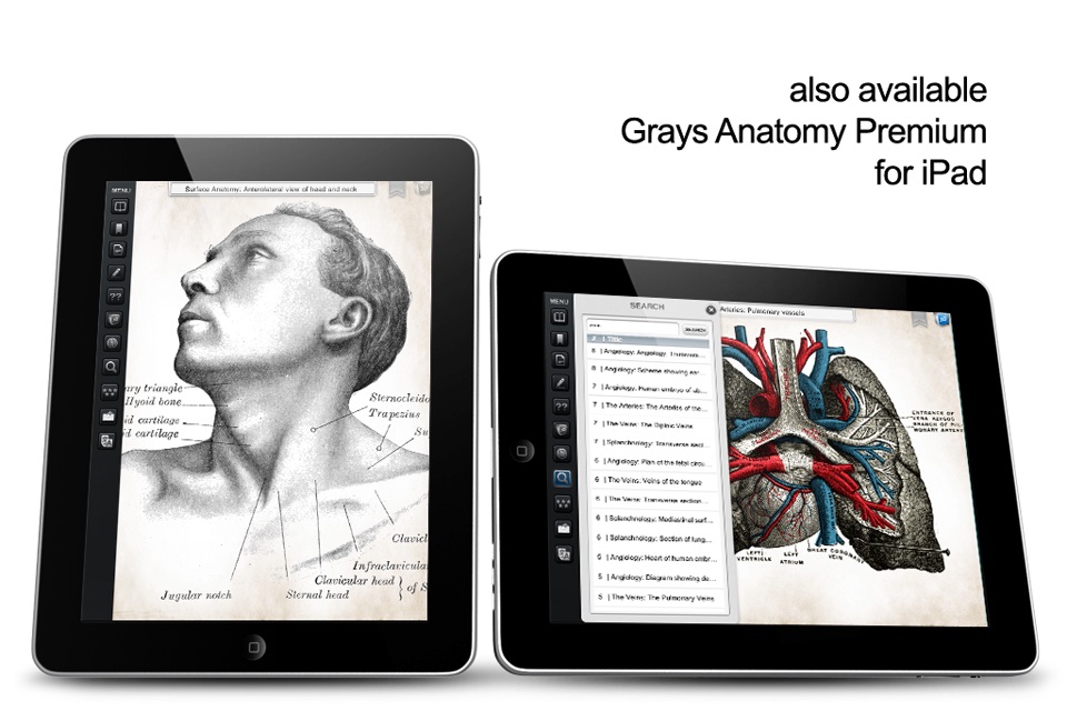 Gray's Anatomy Student Edition screenshot 4
