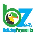 Top 10 Business Apps Like Belizing Payments - Best Alternatives