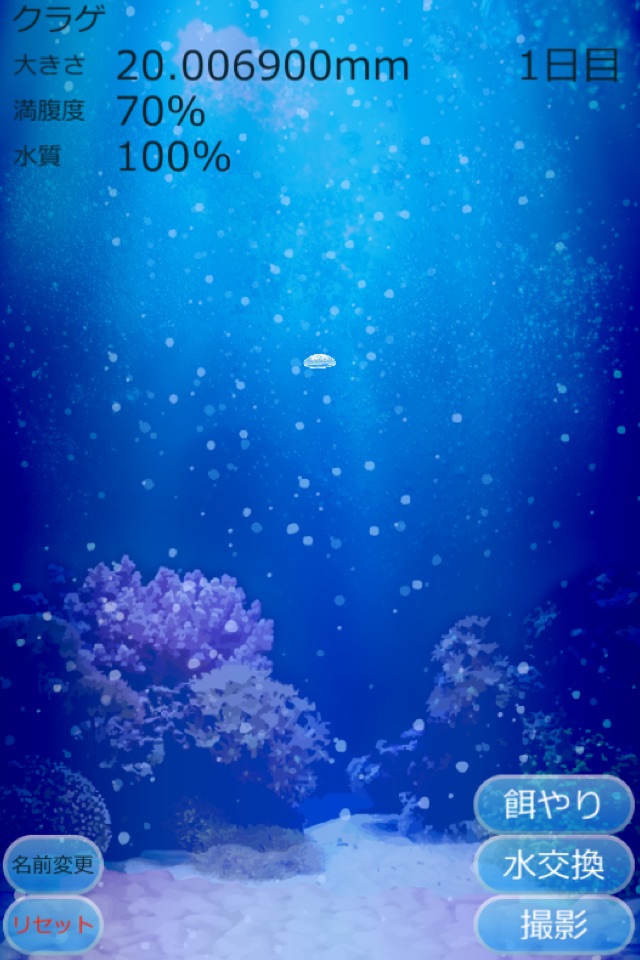 Jellyfish Aquarium - Pet Game screenshot 4