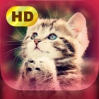 Top 19 Lifestyle Apps Like Cute Pics - Best Alternatives