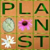 Plants: Tiling Puzzles