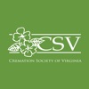 CSV Bill Pay