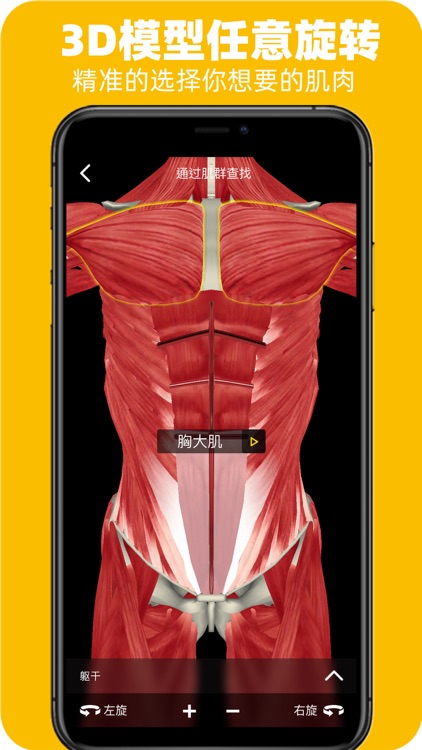 3DFit-体育健身知识服务 screenshot-3