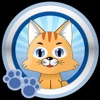 Cat Toys I: Games for Cats