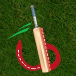 Cricket Box 11