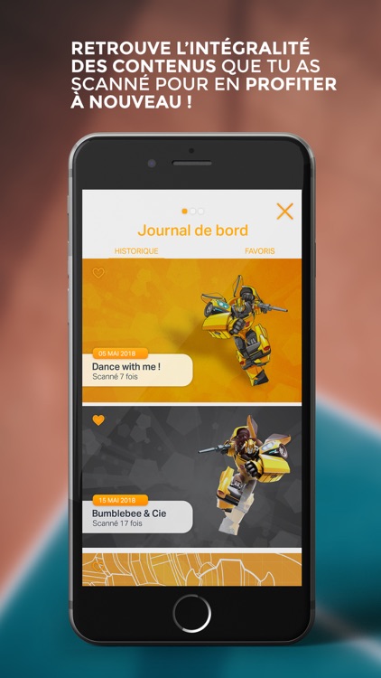 Bumblebee Experience