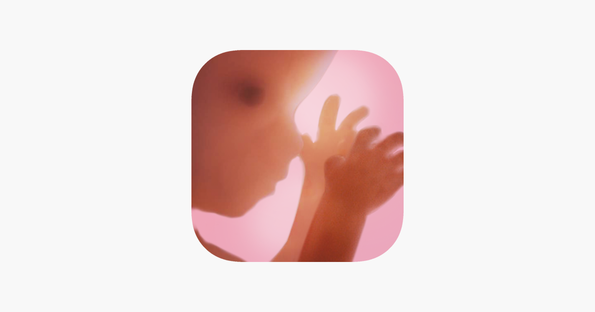 Pregnancy On The App Store