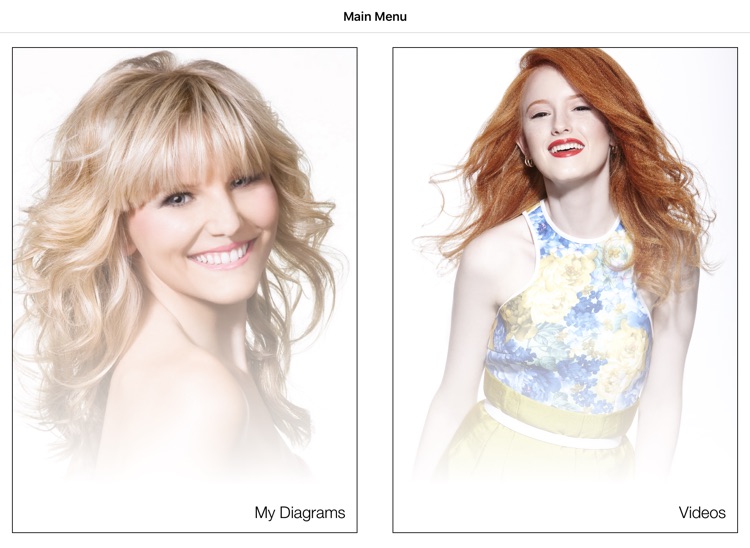 The Makeup System