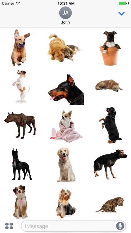 Dogs Stickers Pack