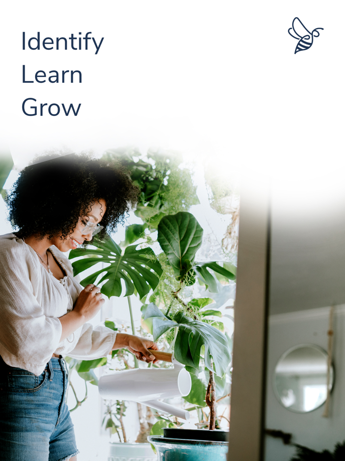 Candide – Plants  Gardening