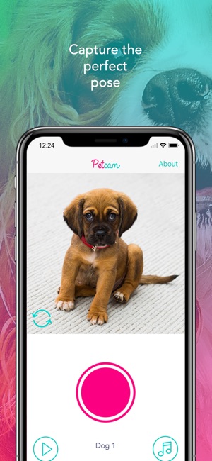 Petcam - Pet Camera(圖3)-速報App