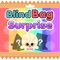 Icon Blind Bag Surprise