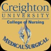 CU Nursing MS