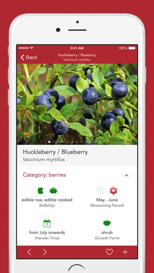 Wild Berries and Herbs 2 PRO(圖3)-速報App