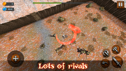 Sword Ring - Knight Battle screenshot 2