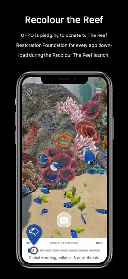 Game screenshot Recolour The Reef mod apk