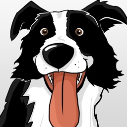 Collie Moji - Border emojis icono