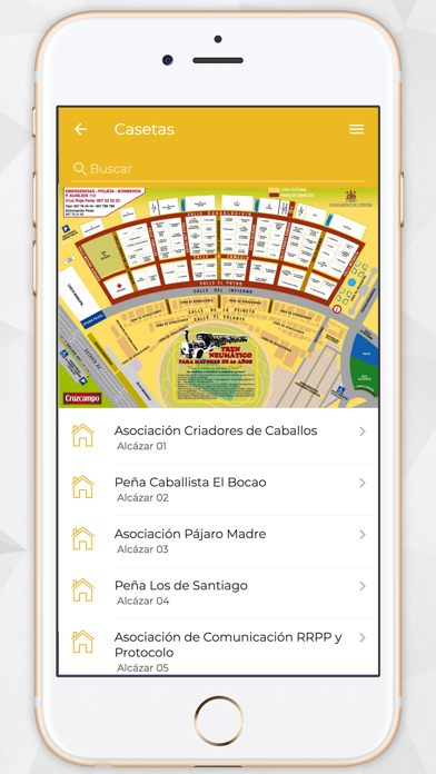 Feria de Córdoba screenshot 3