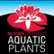 Icon Aquatic Plants