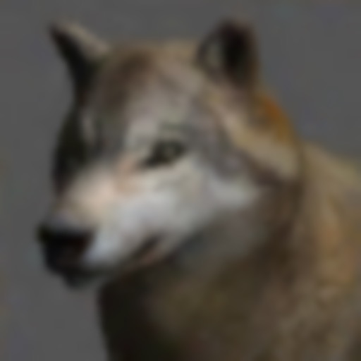 Wolf Pose Tool 3D icon