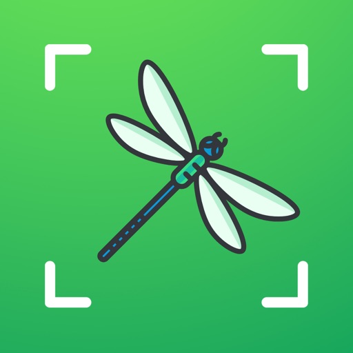 Bug identifier - Spider, Worm