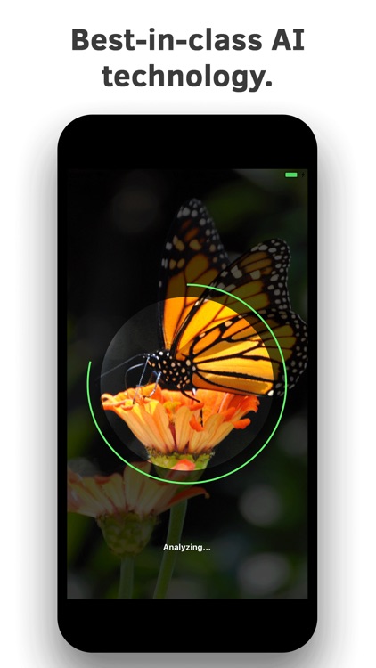 Insect Identification screenshot-3