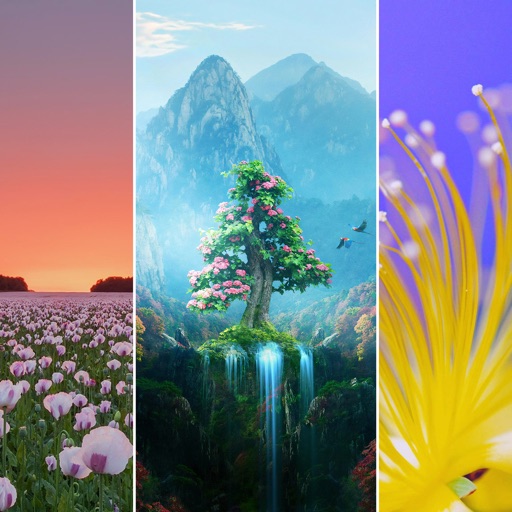 Spring Wallpapers HD icon