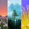 Spring wallpaper app is a collection of beautiful spring pictures, we hope you enjoy our content and share these backgrounds with friends