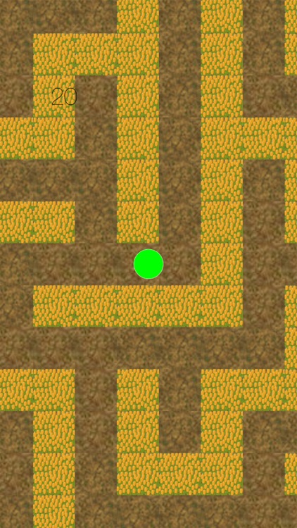 Escape From The Maze screenshot-3