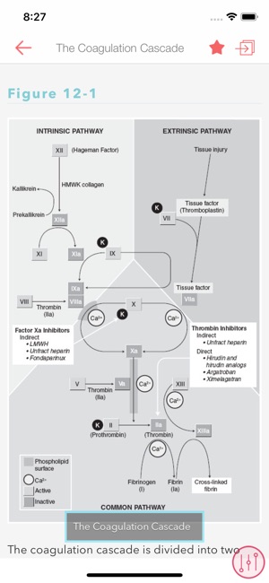 Hematology & Oncology Consult(圖4)-速報App