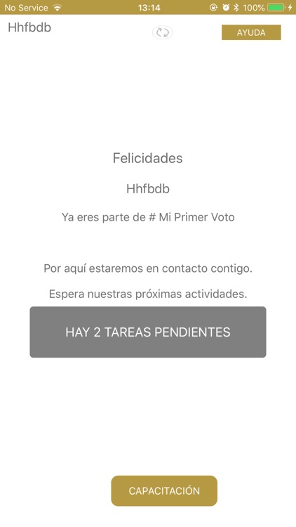 Mi Primer Voto screenshot-3