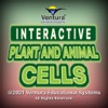 Plant and Animal Cells