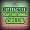 Explore the fascinating workings of plant and animal cells using Interactive Plant and Animal Cells