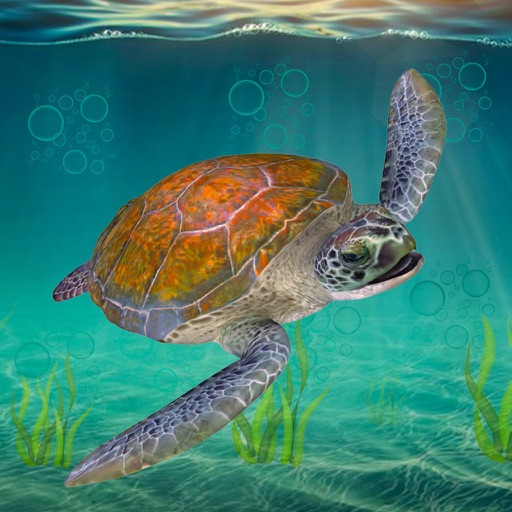 Sea Turtle Survival Sim Games by Usman Sadiq