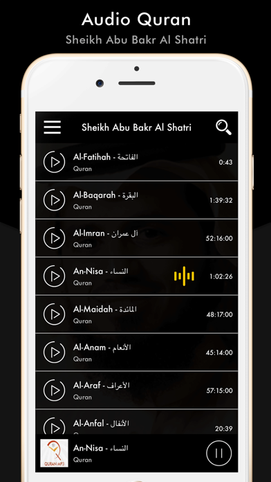 Quran Sheikh Abu Bakr Al Shatr screenshot 4