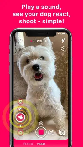 Game screenshot DogCam - Dog Selfie Camera hack