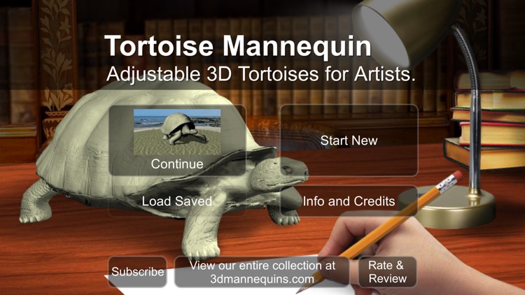Tortoise Mannequin