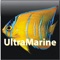 Welcome to one of the world's leading marine specialist magazines
