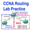 CCNA Routing Labs Practice