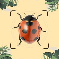 Contact Insect id: Bug identifier