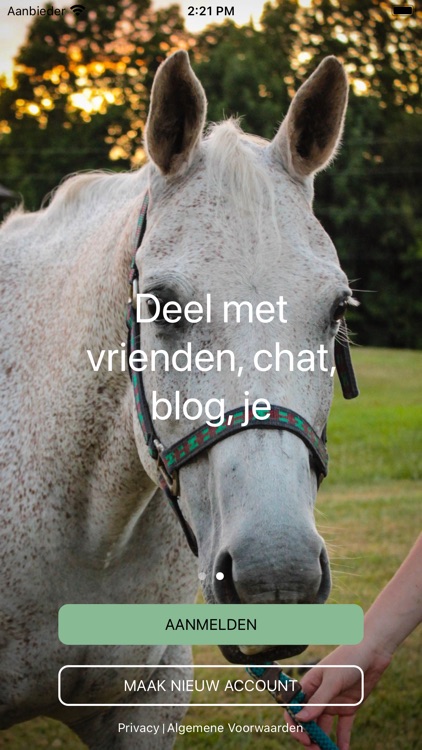 Socialhorse