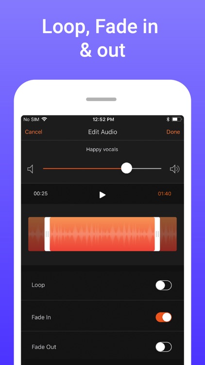 Add Music To Video Editor