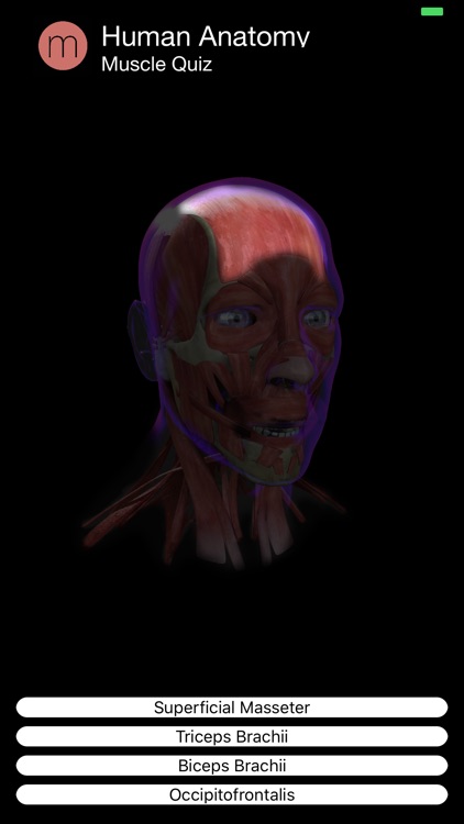 Muscle Quiz screenshot-8