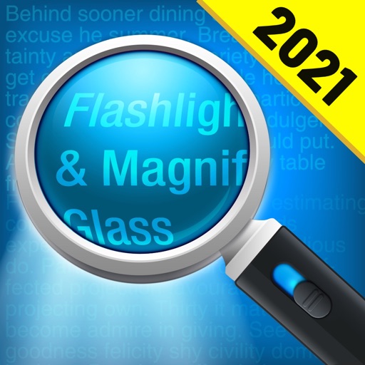 Magnifying Glass + Flashlight