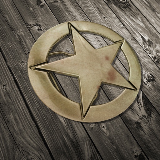 Tin Star Icon