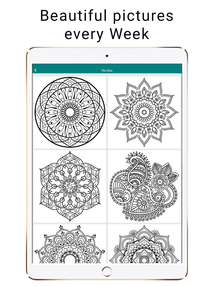 Coloring Book Color Pages Fill