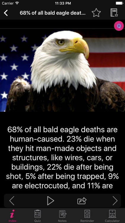 Amazing Eagles Facts 1800