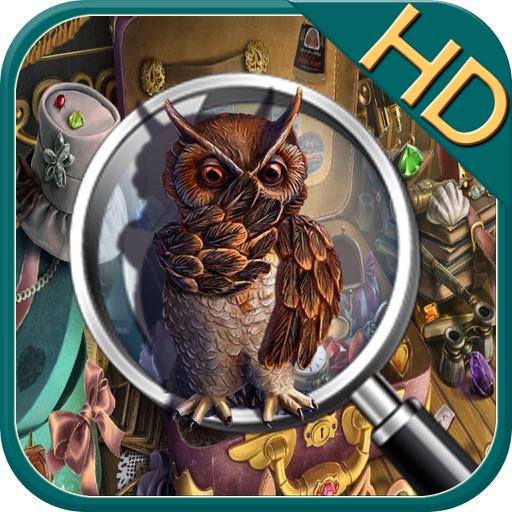 Hidden Objects : Owl Mystery Icon
