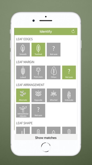 NZ Trees(圖2)-速報App