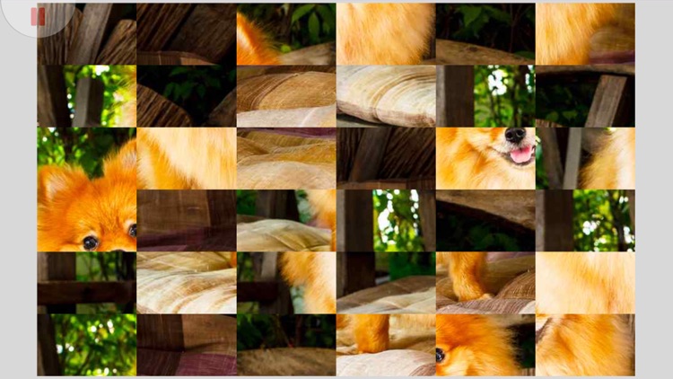 Tile Puzzle Pomeranian Dogs screenshot-3